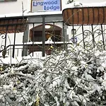 Lingwood